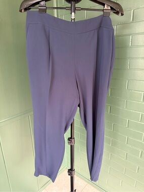J. Crew Navy Cropped Side-Zip Tapered Pants